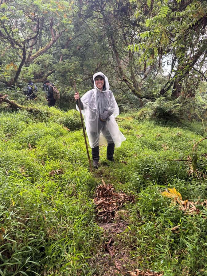 3-Day Gorilla Experience In Uganda - Day three: islands, birds, and the return journey