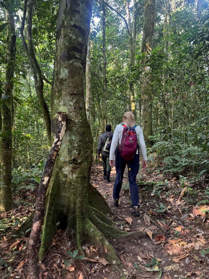 3-Day Gorilla Experience In Uganda - The guide and driver can make the difference