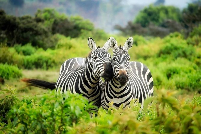 3-Day Mind Refreshing in Murchison Falls National Park - Practical points to settle before you pay