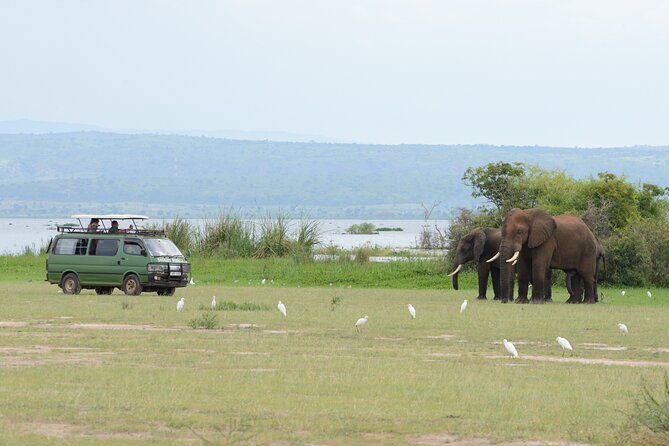3 Day Murchison Falls' BIG 5 and Wildlife viewing Safari - The Big Five promise, explained plainly