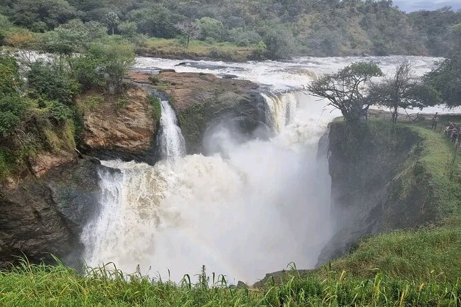 3 Day Murchison Falls' BIG 5 and Wildlife viewing Safari - Guides, vehicles, and the private format