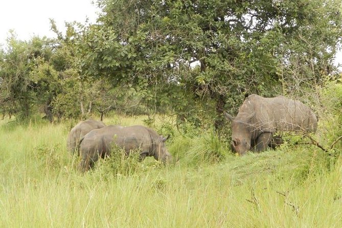 3-Day Murchison Falls National Park - Adventure Safari - What this three-day Uganda safari is really like