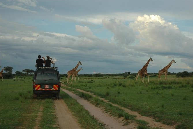 3-Day Murchison Falls National Park - Adventure Safari - What the $1,580 price includes