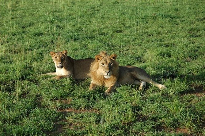 3-Day Murchison Falls National Park - Adventure Safari - Guide quality and the human side of the safari