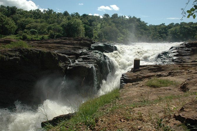 3-Day Murchison Falls National Park - Adventure Safari - Day 2: Northern-bank wildlife and a Nile boat ride