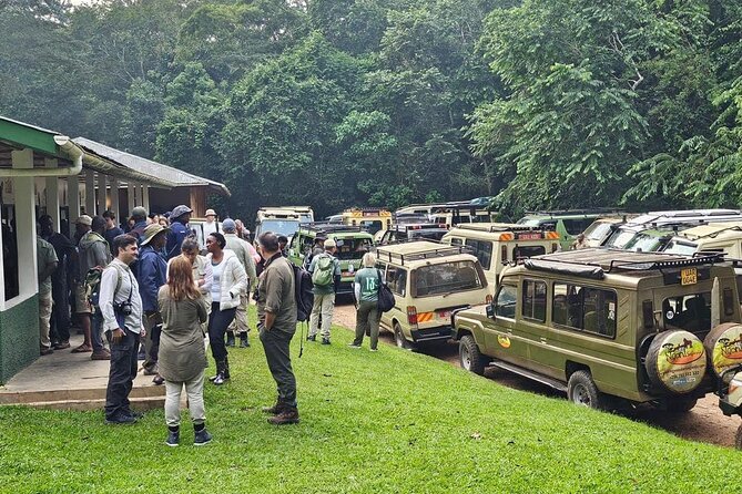 3-Day Private Guided Gorilla Trekking In Uganda - Who will enjoy this tour most