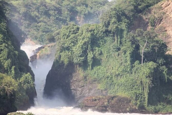 3-Day Private Safari of Murchison Falls National Park - From Kampala to rhino country