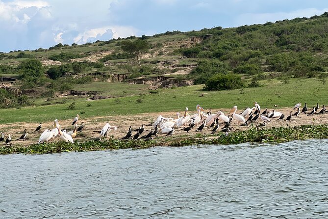 3 Day Queen Elizabeth National Park Budget Tour - What happens on day three