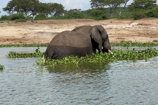 3 Day Queen Elizabeth National Park Budget Tour - Transport, pace, and the private format