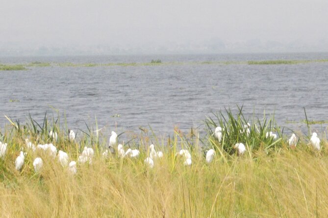 3-Day Queen Elizabeth safari - The guide can shape the whole experience