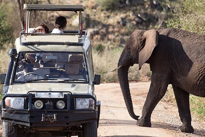 3-Day Safari in Queen Elizabeth National Park Uganda from Kampala - Practical details to confirm before departure