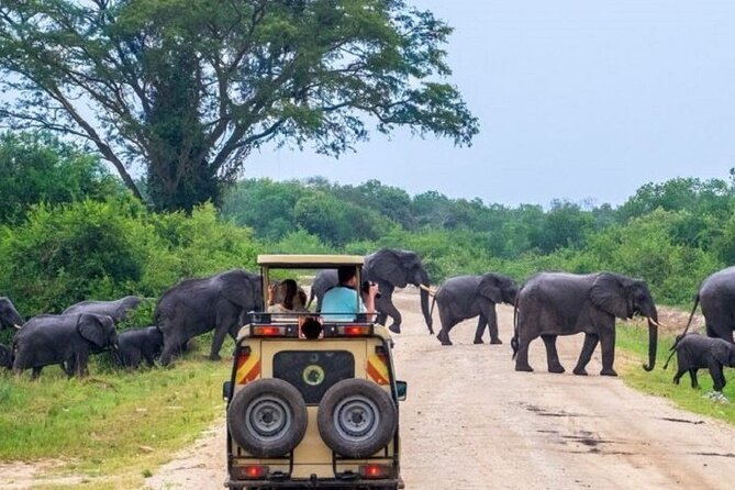 3-Day Safari in Queen Elizabeth National Park Uganda from Kampala - Day 1: Kampala to the park through Uganda’s countryside