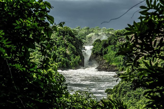 3-Day Tour in Murchison Falls Safari & Rhino Tracking - Day 1: From Entebbe to the top of Murchison Falls