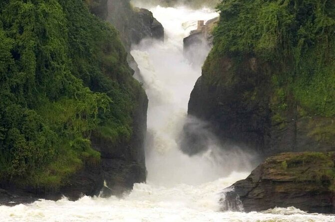 3-Day Tour in Murchison Falls Safari & Rhino Tracking - Who should book this Uganda safari?