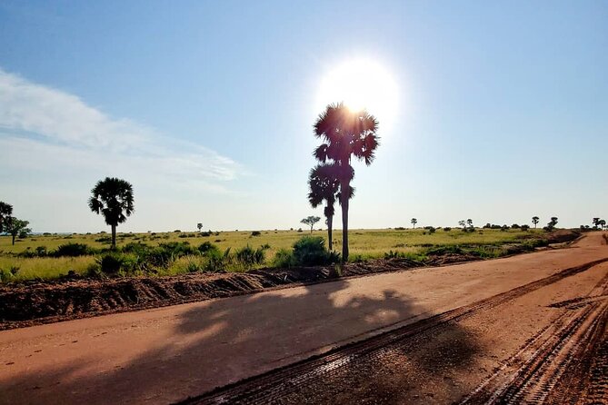 3 Days 2 Nights, Murchison Falls And Wildlife Safari - Day 3: the return to Kampala