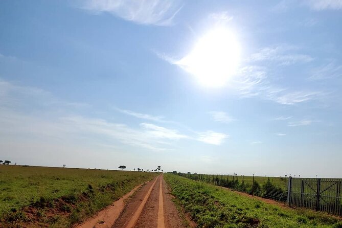 3 Days 2 Nights, Murchison Falls And Wildlife Safari - Guides, private travel, and the human side