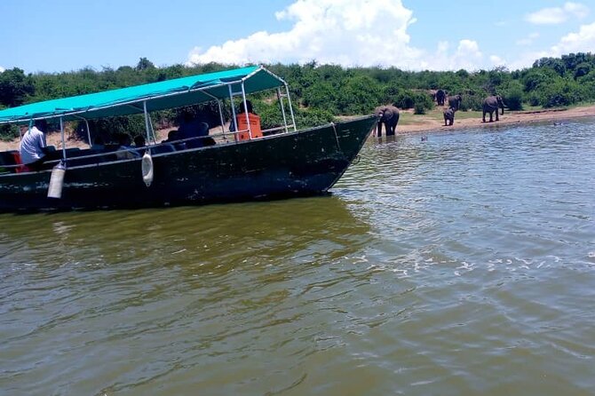 3 Days Best of Queen Elizabeth National Park Wildlife Tour - Why Queen Elizabeth National Park makes a strong short safari