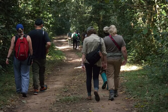 3 Days Bwindi Gorilla Trekking tour - The gorilla trek: one to eight hours in thick forest