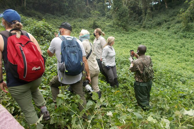 3 Days Bwindi Gorilla Trekking tour - Who should choose this three-day tour?