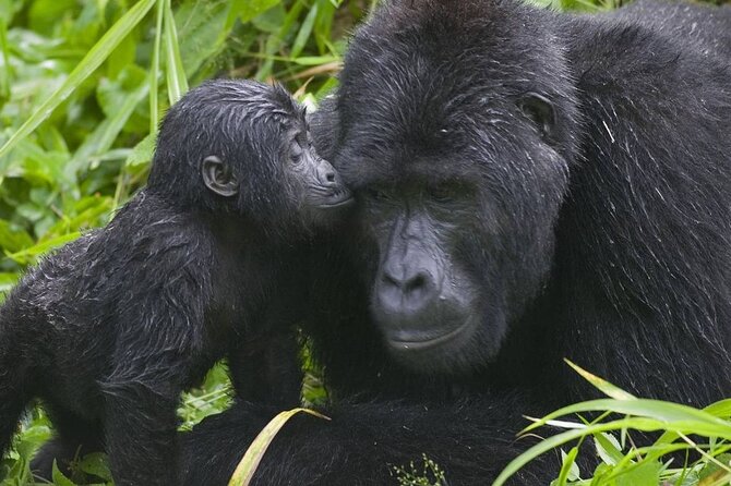 3 Days Gorilla Adventure Safari in Uganda - Lake Bunyonyi: a gentle evening after the forest