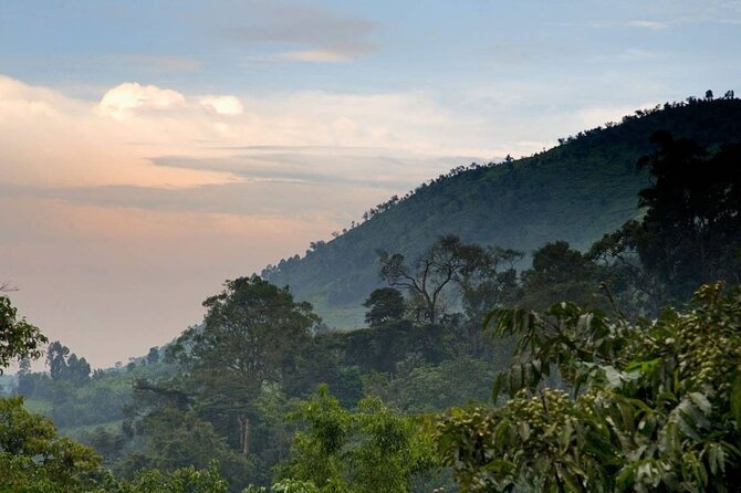 3 Days Gorilla Adventure Safari in Uganda - Who will appreciate this safari most