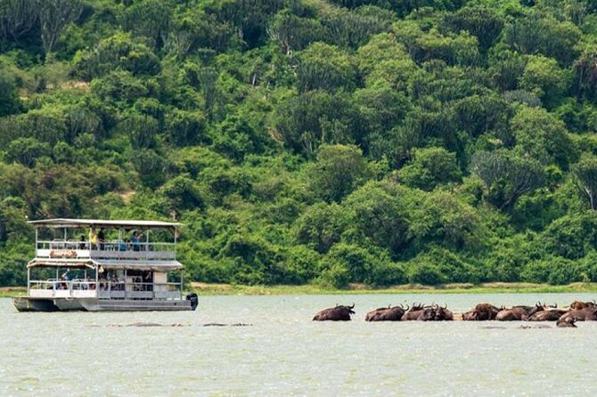 3 Days gorilla trekking Safari tour in Uganda - Why this short Uganda safari has such a big payoff