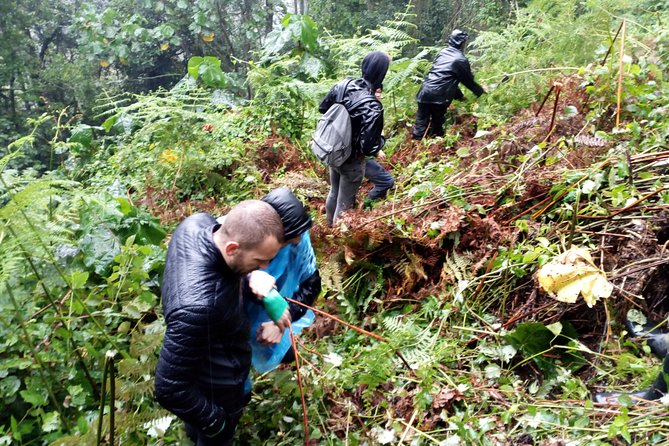 3 Days Gorilla trekking Safari Uganda, Bwindi Impenetrable Forest - Why this three-day Bwindi trip works