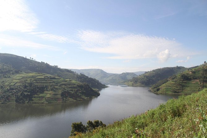 3 Days Gorilla trekking tour - What Bwindi Adds Beyond the Gorilla Permit