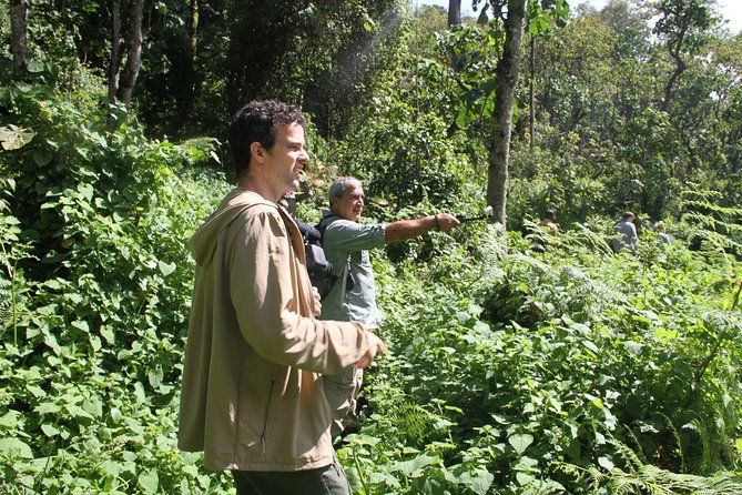 3 Days Gorilla trekking tour - Day One: From Entebbe to Bwindi by Way of the Equator