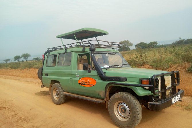 3 Days Lake Bunyonyi and Gorilla Trekking Tour in Uganda - Who should book this three-day tour?