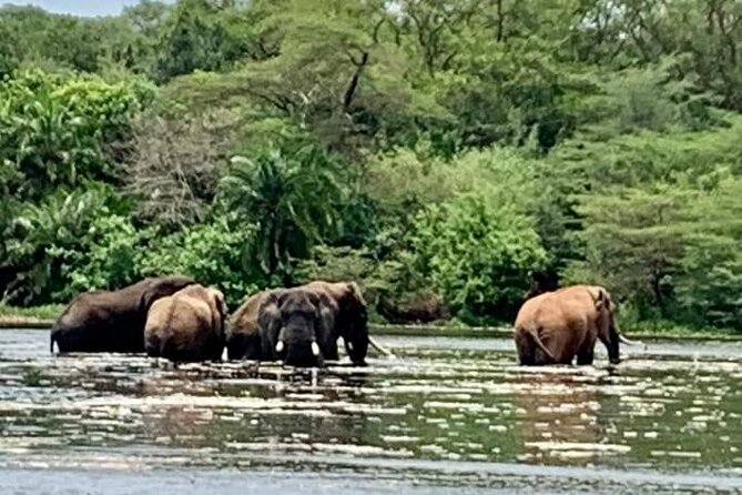 3 Days magical Murchison falls safari - Three hours below Murchison Falls