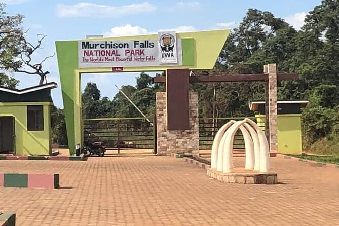 3 Days magical Murchison falls safari - Day three: one more game drive and the top of the falls