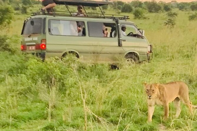 3 Days magical Murchison falls safari - Meals, accommodation, and the $1,115 cost