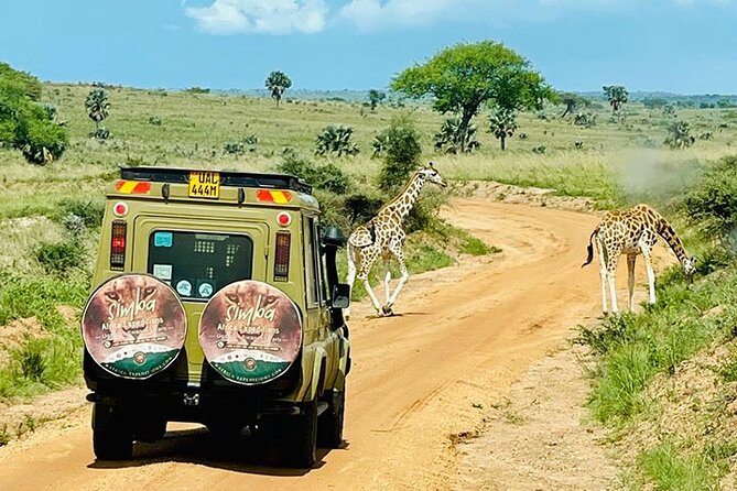 3 days Murchison Falls, Boat cruise and wildlife game viewing - Leaving Kampala at 6:00 a.m.