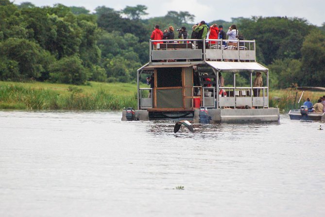 3 days Murchison Falls, Boat cruise and wildlife game viewing - The hike from the falls to the top