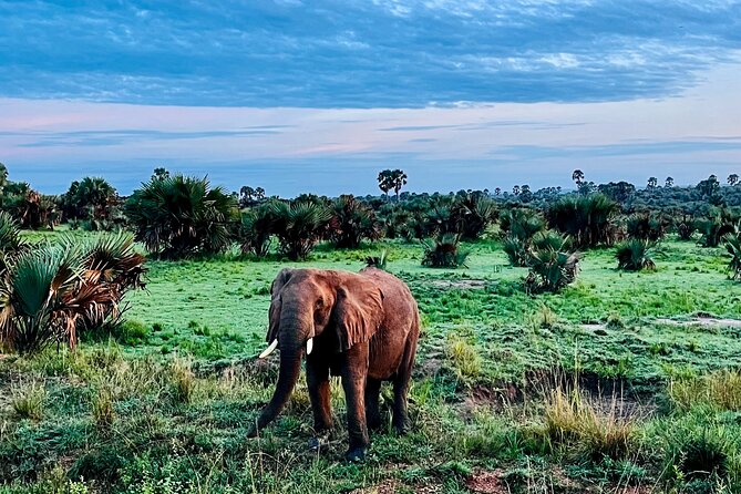 3 Days Murchison Falls National Park Safari & Rhino tracking - Day Three: Returning to Kampala