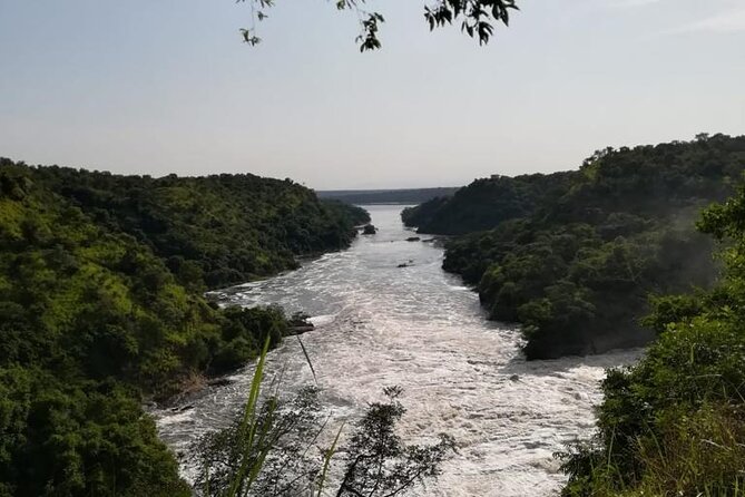 3 Days Murchison Falls National Park Safari & Rhino tracking - The Strongest Parts of the Experience