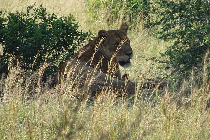 3 Days Murchison falls park Uganda - Why this three-day route works