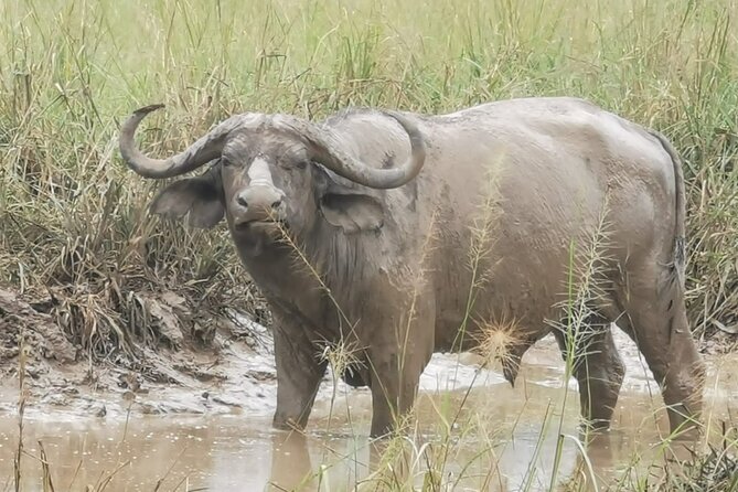 3 Days Murchison falls park Uganda - Practical booking advice from the trip details