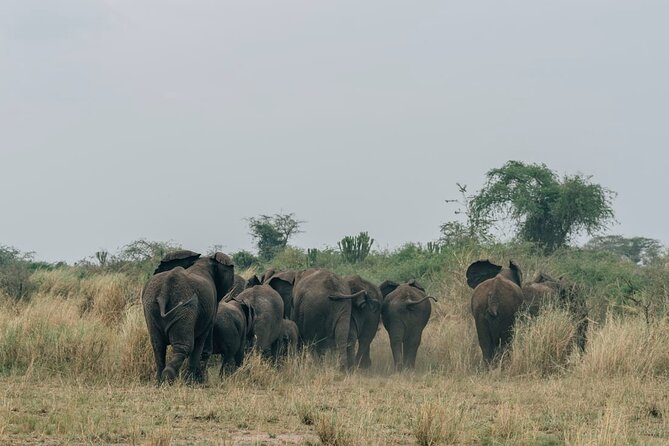 3 days Murchison falls safari - Key points at a glance