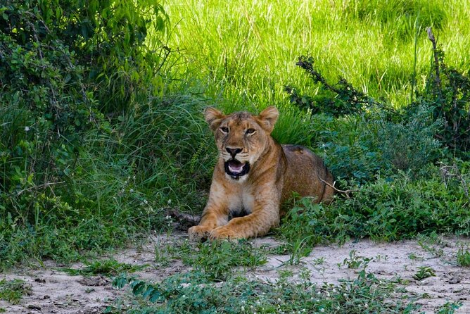 3 days Murchison falls safari - From Kampala to Rhino Fund Uganda on Day 1