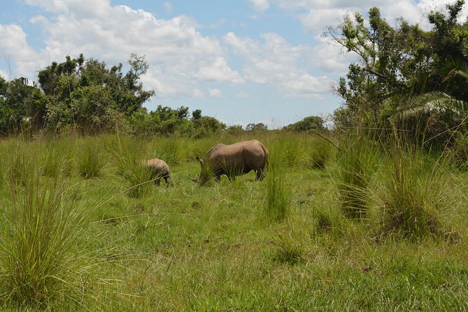 3-Days Murchison Falls Vacation Including Big 5 Sighting! - The falls and the return to Entebbe