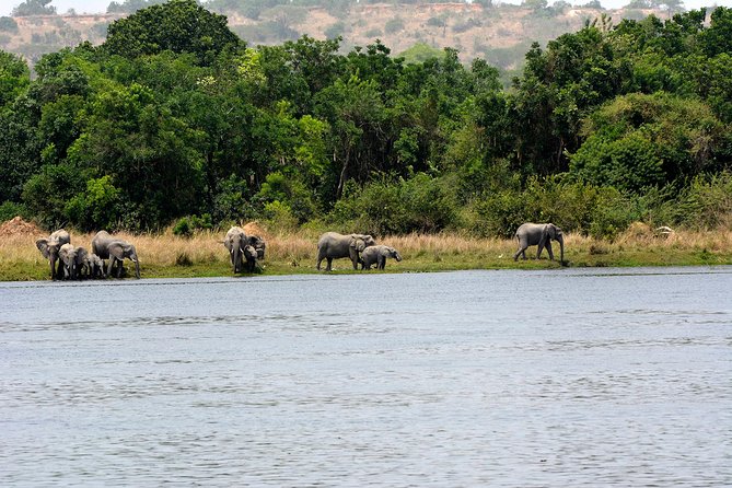 3 Days Murchison Falls Wildlife Safari - Day two: sunrise game drive across the savannah