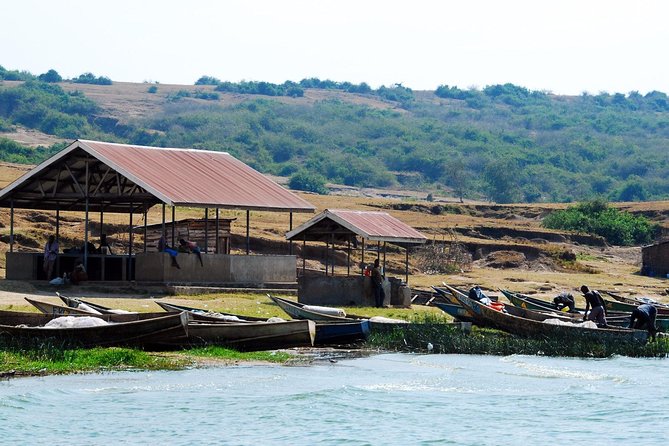 3 days Queen Elizabeth National Park Uganda Safari - Game drives and the search for chimpanzees