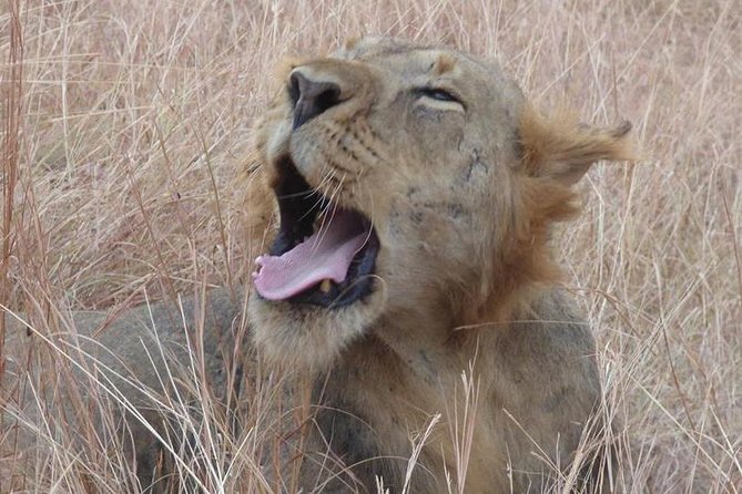 3 days Queen Elizabeth National Park Uganda Safari - The lodge stay and comfort on the road