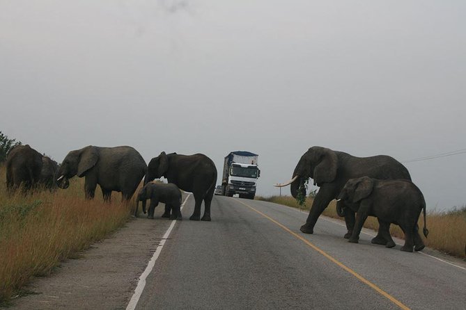 3 days Queen Elizabeth National Park Uganda Safari - Is $692.31 good value?