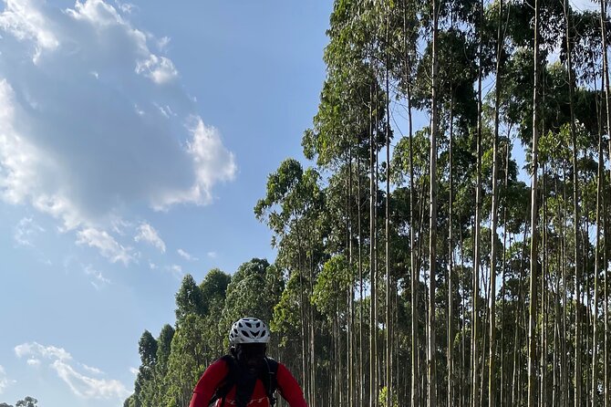 3 Hours Guided Cycling Tour Across Lake Victoria - A Ugandan Rolex And Short Rest Stops