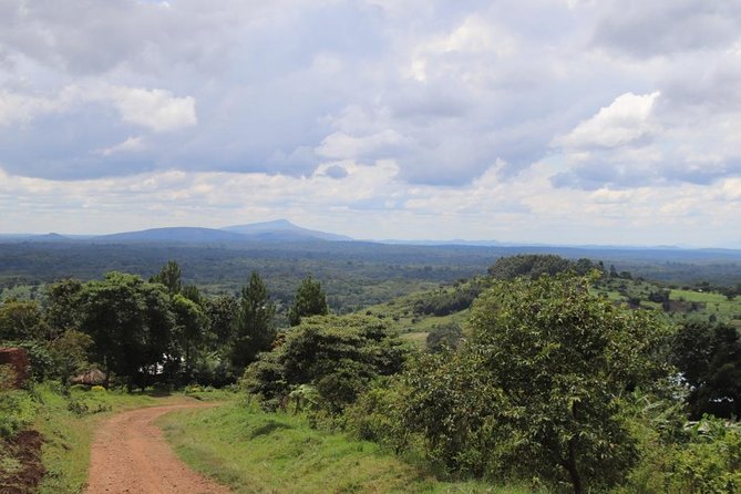 4-Day Gorillas, Wildlife and Chimpanzee Trek at Kalinzu Forest - Why the gorilla permit changes the value