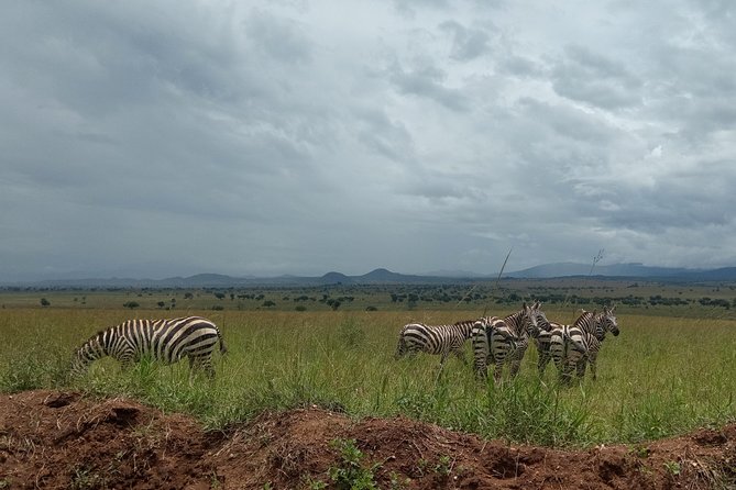 4-Day Kidepo Valley National Park Flight Safari (Luxury) - Is $4,095 Per Person Fair Value?