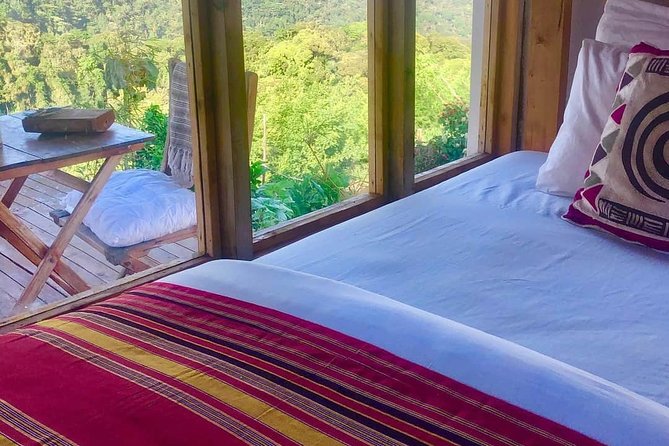 4-Day Private Tour in Bwindi Forest National Park - The gorilla trek and one hour with the group
